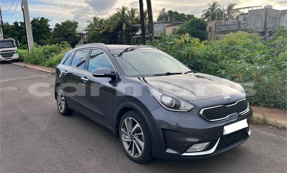 Buy Used Kia Niro Other Car in Le Hochet in Pamplempousses Buy Used Kia Niro Other Car in Le Hochet in Pamplempousses