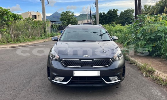 Buy Used Kia Niro Other Car in Le Hochet in Pamplempousses Buy Used Kia Niro Other Car in Le Hochet in Pamplempousses