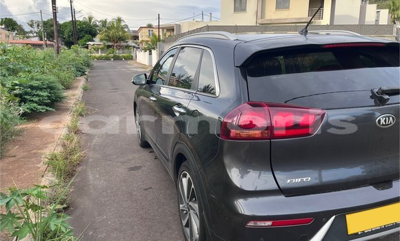 Buy Used Kia Niro Other Car in Le Hochet in Pamplempousses Buy Used Kia Niro Other Car in Le Hochet in Pamplempousses