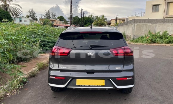 Buy Used Kia Niro Other Car in Le Hochet in Pamplempousses Buy Used Kia Niro Other Car in Le Hochet in Pamplempousses