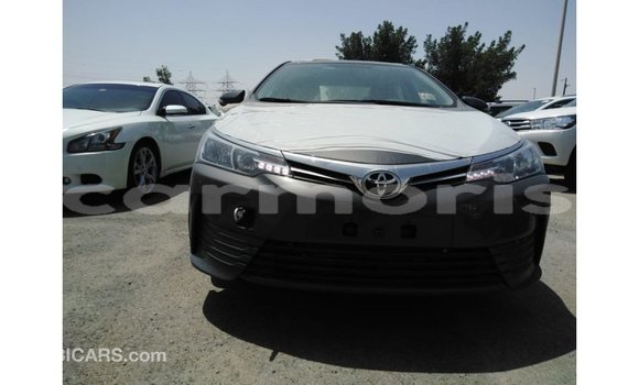 Buy Import Toyota Corolla Other Car in Import - Dubai in Agalega Islands Buy Import Toyota Corolla Other Car in Import - Dubai in Agalega Islands