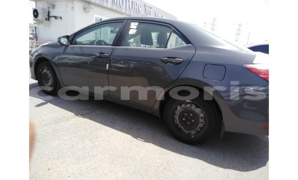 Buy Import Toyota Corolla Other Car in Import - Dubai in Agalega Islands Buy Import Toyota Corolla Other Car in Import - Dubai in Agalega Islands