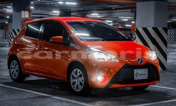 Buy Used Toyota Vitz Red Car in Moka in Moka Buy Used Toyota Vitz Red Car in Moka in Moka