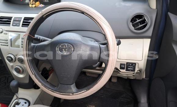 Buy New Toyota Belta Blue Car in Quatre Bornes in Plaines Wilhems District Buy New Toyota Belta Blue Car in Quatre Bornes in Plaines Wilhems District