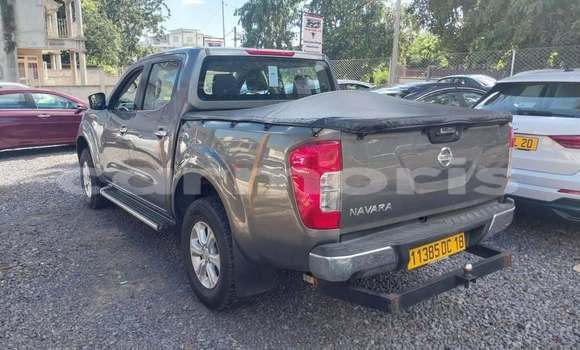 Buy Used Nissan Navara Other Car in Port Louis in Port Louis District Buy Used Nissan Navara Other Car in Port Louis in Port Louis District