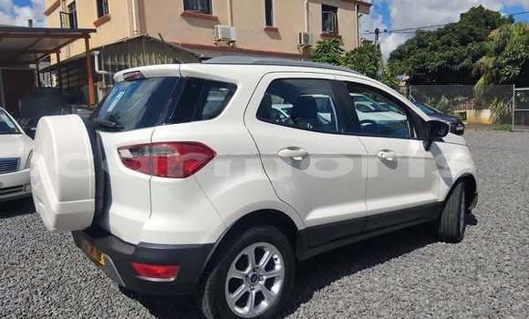 Buy Used Ford Escape Other Car in Port Louis in Port Louis District Buy Used Ford Escape Other Car in Port Louis in Port Louis District