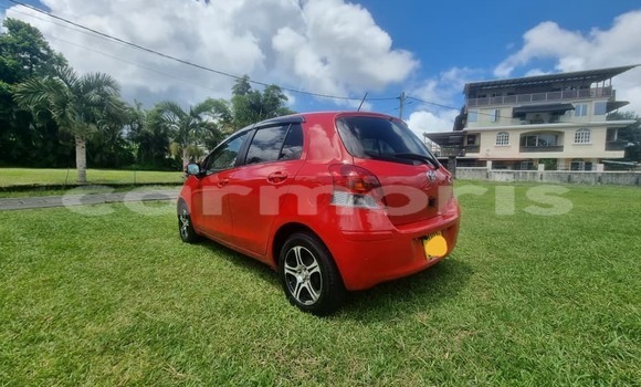 Buy Used Toyota Vitz Red Car in Arsenal in Pamplemousses District Buy Used Toyota Vitz Red Car in Arsenal in Pamplemousses District