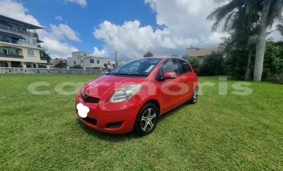 Buy Used Toyota Vitz Red Car in Arsenal in Pamplemousses District Buy Used Toyota Vitz Red Car in Arsenal in Pamplemousses District