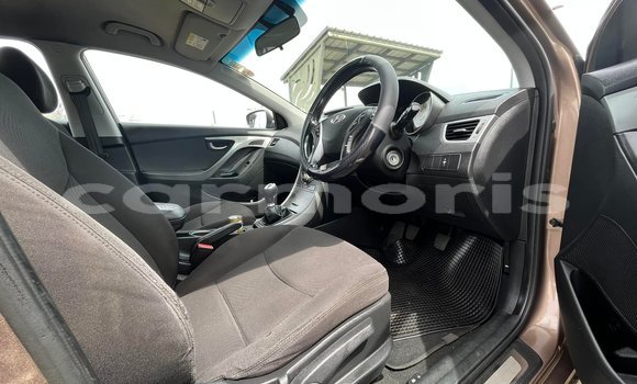 Buy Used Hyundai Elantra Other Car in Baie du Cap in Savanne District Buy Used Hyundai Elantra Other Car in Baie du Cap in Savanne District