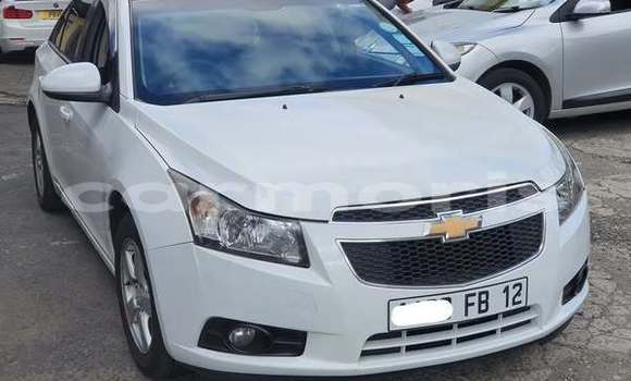 Buy Used Chevrolet Cruze White Car in Anse La Raie in Rivière du Rempart District Buy Used Chevrolet Cruze White Car in Anse La Raie in Rivière du Rempart District