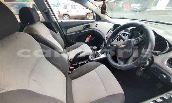 Buy Used Chevrolet Cruze White Car in Anse La Raie in Rivière du Rempart District Buy Used Chevrolet Cruze White Car in Anse La Raie in Rivière du Rempart District