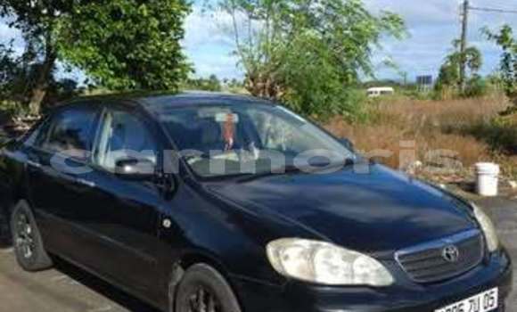 Acheter Occasion Voiture Toyota Corolla Autre à Amaury, Rivière du Rempart Acheter Occasion Voiture Toyota Corolla Autre à Amaury, Rivière du Rempart
