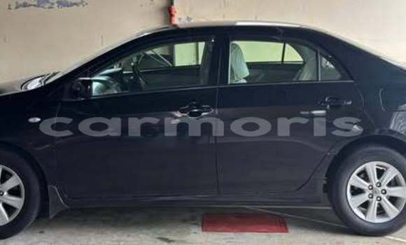 Buy Used Toyota Corolla Other Car in Port Louis in Port Louis District Buy Used Toyota Corolla Other Car in Port Louis in Port Louis District