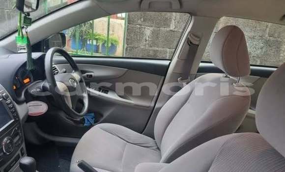 Buy Used Toyota Corolla Other Car in Port Louis in Port Louis District Buy Used Toyota Corolla Other Car in Port Louis in Port Louis District