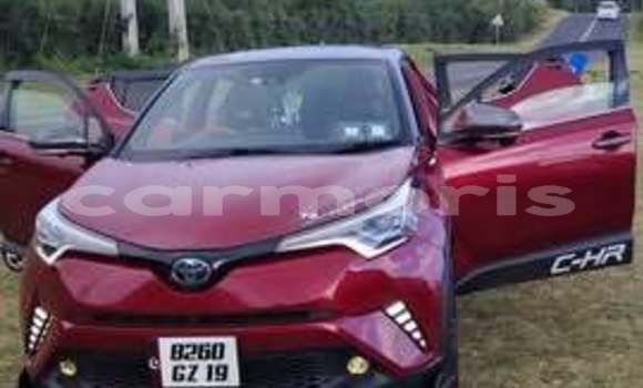 Acheter Occasion Voiture Toyota Chaser Autre à Pointe aux Piments, Pamplempousses Acheter Occasion Voiture Toyota Chaser Autre à Pointe aux Piments, Pamplempousses