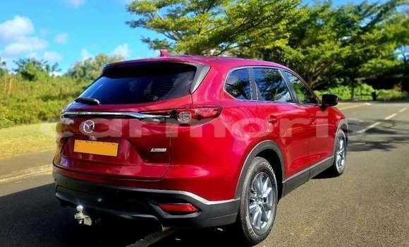 Buy Used Mazda CX-9 Red Car in Beau Bassin–Rose Hill in Plaines Wilhems District Buy Used Mazda CX-9 Red Car in Beau Bassin–Rose Hill in Plaines Wilhems District