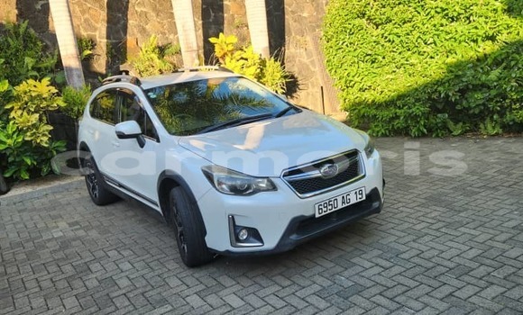 Buy Used Subaru XV White Car in Tamarin in Black River District