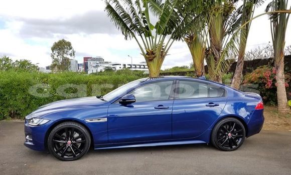 Buy Used Jaguar XE Blue Car in Port Louis in Port Louis District Buy Used Jaguar XE Blue Car in Port Louis in Port Louis District