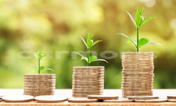 Buy Used Acura EL Blue Car in Baie Malgache in Rodrigues