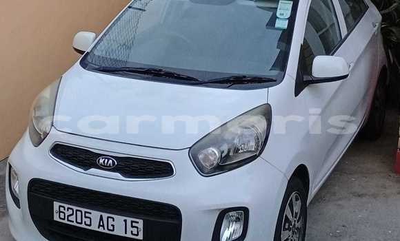 Acheter Occasion Voiture Kia Picanto Blanc à Port Louis, Port Louis District Acheter Occasion Voiture Kia Picanto Blanc à Port Louis, Port Louis District