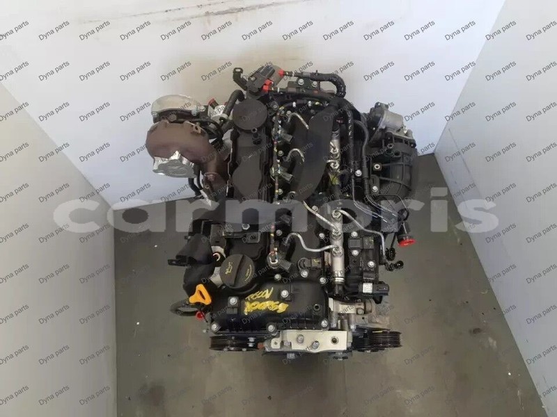 Big with watermark 4