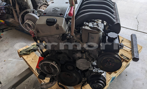 Medium with watermark a