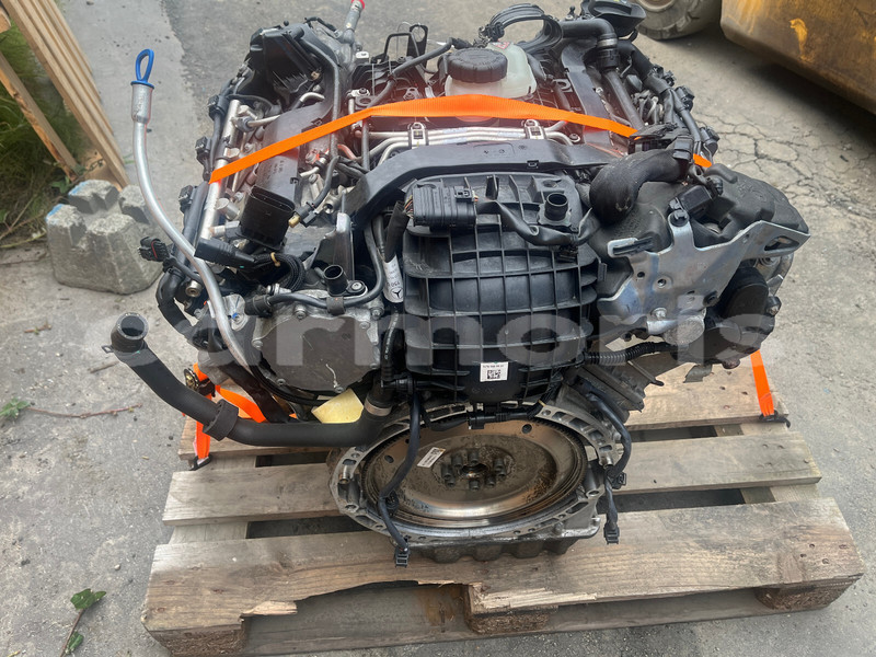 Big with watermark e