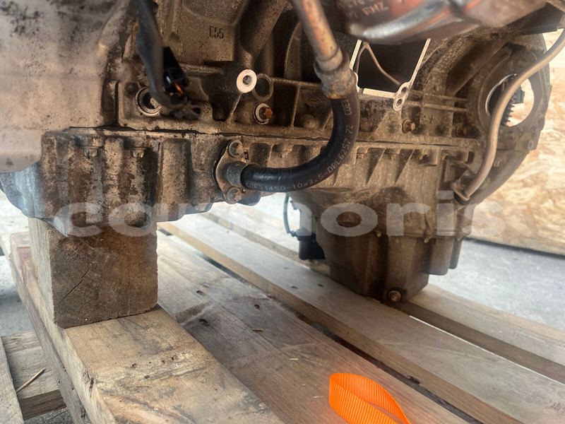 Big with watermark s l160011