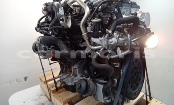Buy Ford Ranger Engine in Port Louis in Port Louis District Buy Ford Ranger Engine in Port Louis in Port Louis District