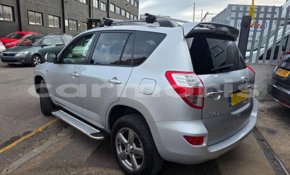 Buy Used Toyota RAV4 Silver Car in Port Louis in Port Louis District Buy Used Toyota RAV4 Silver Car in Port Louis in Port Louis District