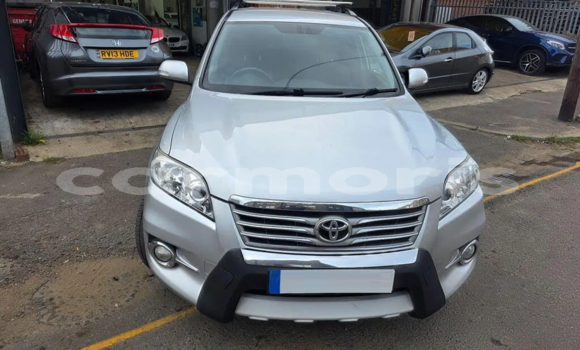 Buy Used Toyota RAV4 Silver Car in Port Louis in Port Louis District Buy Used Toyota RAV4 Silver Car in Port Louis in Port Louis District