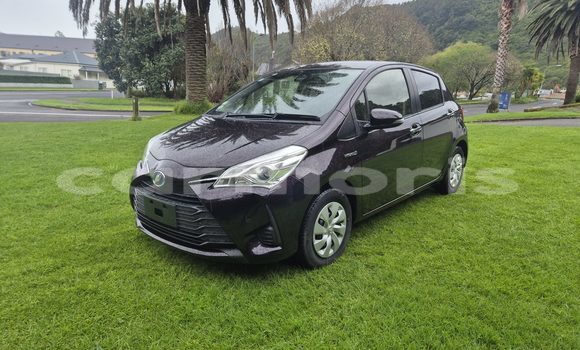 Buy Used Toyota Vitz Black Car in Port Louis in Port Louis District