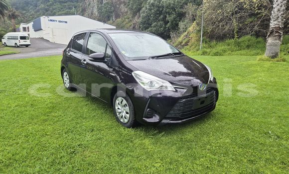 Buy Used Toyota Vitz Black Car in Port Louis in Port Louis District Buy Used Toyota Vitz Black Car in Port Louis in Port Louis District