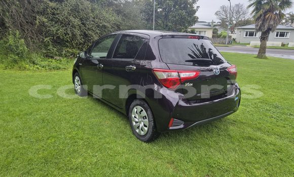 Buy Used Toyota Vitz Black Car in Port Louis in Port Louis District Buy Used Toyota Vitz Black Car in Port Louis in Port Louis District