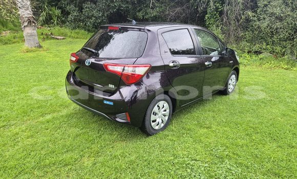 Buy Used Toyota Vitz Black Car in Port Louis in Port Louis District Buy Used Toyota Vitz Black Car in Port Louis in Port Louis District