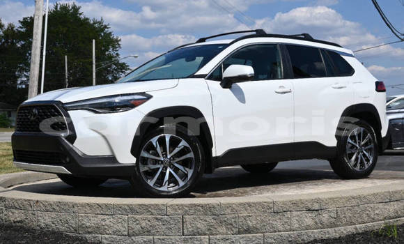 Buy Used Toyota Corolla Cross White Car in Port Louis in Port Louis District