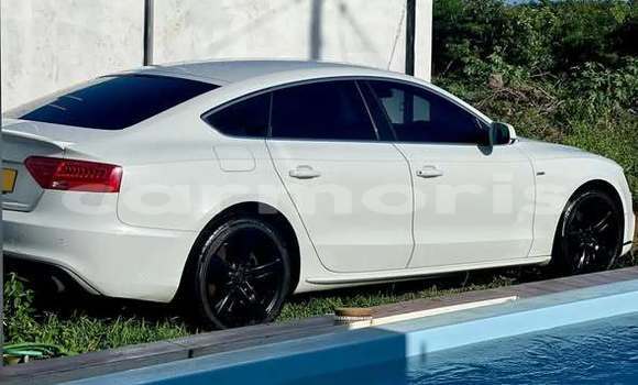 Acheter Occasion Voiture Audi A2 Autre à Creve Coeur, Pamplempousses Acheter Occasion Voiture Audi A2 Autre à Creve Coeur, Pamplempousses