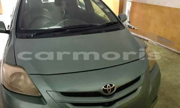 Buy Used Toyota Belta Other Car in Amaury in Rivière du Rempart District