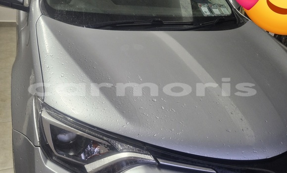 Buy Used Toyota RAV4 Silver Car in Amitié–Gokhoola in Rivière du Rempart District Buy Used Toyota RAV4 Silver Car in Amitié–Gokhoola in Rivière du Rempart District
