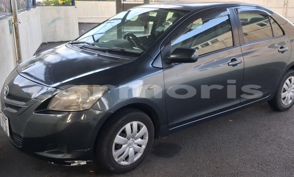 Buy Used Toyota Belta Black Car in Vacoas–Phoenix in Plaines Wilhems District Buy Used Toyota Belta Black Car in Vacoas–Phoenix in Plaines Wilhems District