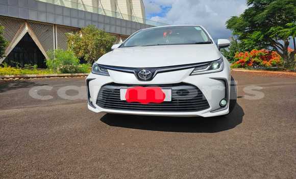 Buy Used Toyota Corolla White Car in Beau Bassin–Rose Hill in Plaines Wilhems District