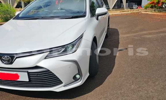 Buy Used Toyota Corolla White Car in Beau Bassin–Rose Hill in Plaines Wilhems District Buy Used Toyota Corolla White Car in Beau Bassin–Rose Hill in Plaines Wilhems District