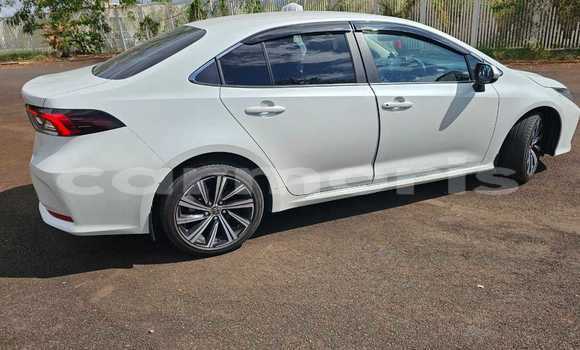 Buy Used Toyota Corolla White Car in Beau Bassin–Rose Hill in Plaines Wilhems District Buy Used Toyota Corolla White Car in Beau Bassin–Rose Hill in Plaines Wilhems District