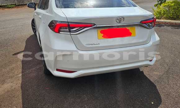 Buy Used Toyota Corolla White Car in Beau Bassin–Rose Hill in Plaines Wilhems District Buy Used Toyota Corolla White Car in Beau Bassin–Rose Hill in Plaines Wilhems District