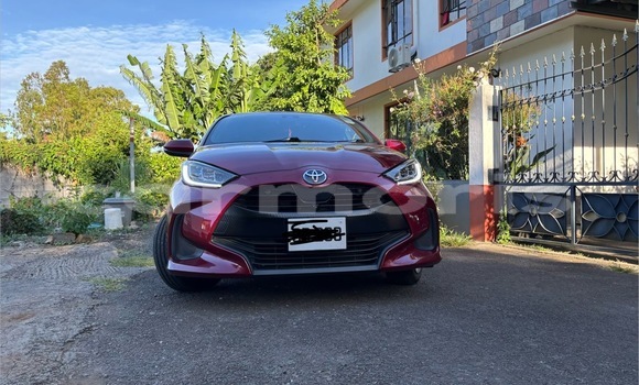 Buy Used Toyota Yaris Red Car in Beau Bassin–Rose Hill in Plaines Wilhems District Buy Used Toyota Yaris Red Car in Beau Bassin–Rose Hill in Plaines Wilhems District