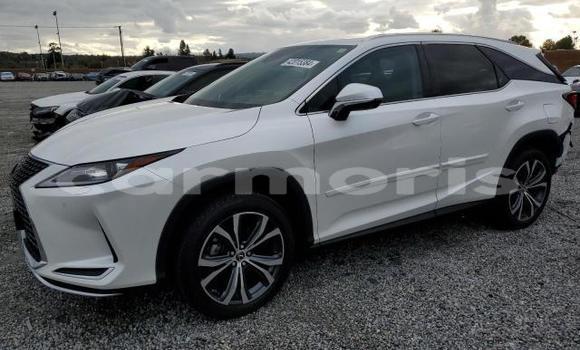 Buy Used Lexus RX 350 White Car in Albion in Black River District