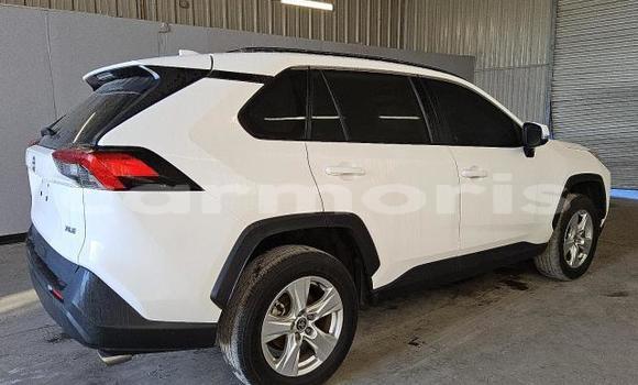 Buy Used Toyota RAV4 White Car in Amitié–Gokhoola in Rivière du Rempart District