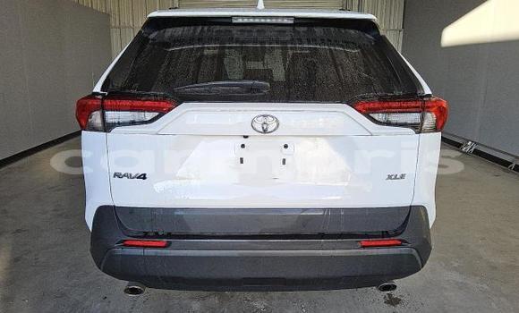 Buy Used Toyota RAV4 White Car in Amitié–Gokhoola in Rivière du Rempart District Buy Used Toyota RAV4 White Car in Amitié–Gokhoola in Rivière du Rempart District