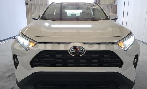 Buy Used Toyota RAV4 White Car in Amitié–Gokhoola in Rivière du Rempart District Buy Used Toyota RAV4 White Car in Amitié–Gokhoola in Rivière du Rempart District