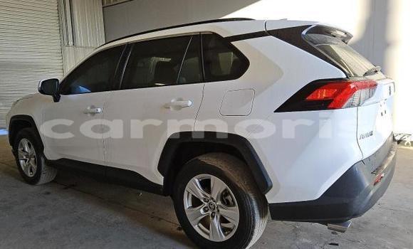 Buy Used Toyota RAV4 White Car in Amitié–Gokhoola in Rivière du Rempart District Buy Used Toyota RAV4 White Car in Amitié–Gokhoola in Rivière du Rempart District
